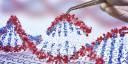 CRISPR-Cas9 funciona como unas tijeras selectivas que cortan y modifican cualquier secuencia del genoma con precisión.