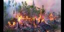 Incendio forestal en la zona conocida por La Loma de Fana