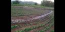 La agricultura ecológica