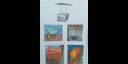 Expo soluciones Cuba