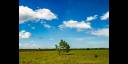 Nubes