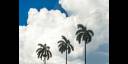 Nubes