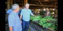  Presidente cubano visita municipios de Pinar del Río