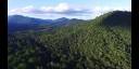 Bosque Atlántico en Sudamérica