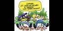 Serie en cifras