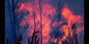 Incendio forestal en Pinar del Río
