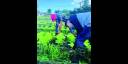 Producción en el campo