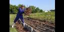 La agricultura urbana, suburbana y familiar tiene grandes desafíos productivos en el presente año