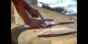 Pescadores