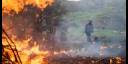 Guardabosques cubanos emprenden acciones para prevenir incendios forestales