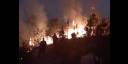 Incendios consumieron centenares de hectáreas de bosques en varias provincias de Cuba