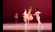 La gala homenaje por los 30 años de carrera artística de la primera bailarina y directora del Ballet Nacional de Cuba (BNC), Viengsay Valdés.