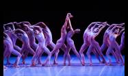 La gala homenaje por los 30 años de carrera artística de la primera bailarina y directora del Ballet Nacional de Cuba (BNC), Viengsay Valdés.