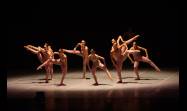 La gala homenaje por los 30 años de carrera artística de la primera bailarina y directora del Ballet Nacional de Cuba (BNC), Viengsay Valdés.