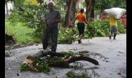 Recuperación en la habana