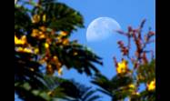 La Luna, un lienzo cósmico