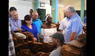  Presidente cubano visita municipios de Pinar del Río