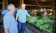  Presidente cubano visita municipios de Pinar del Río