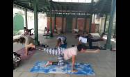 El yoga y el taishi son disciplinas milenarias que contribuyen a vivir con mejor calidad la etapa perimenopáusica. 
