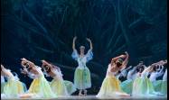 Giselle, por el ballet Laura Alonso