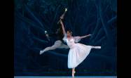 Giselle, por el ballet Laura Alonso