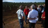 Miguel Díaz-Canel Bermúdez de visita en Pinar del Río