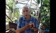 En el tercer piso de una vivienda holguinera, donde muchos solo verían una placa de concreto castigada por el sol, Julián Velázquez Claro convirtió ese espacio en un pequeño campo productivo con 12 canteros donde cultiva hortalizas, plantas medicinales y viandas