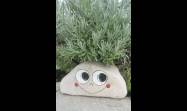 Las piedras tienen un potencial decorativo y humorístico que muy pocos se atreven a explorar. Y quienes lo descubren, difícilmente pueden volver a mirarlas de la misma manera.