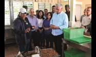 Díaz-Canel elogió los excelentes resultados que muestra hoy la finca Tierra Brava, perteneciente a la cooperativa de créditos y servicios (CCS) Niceto Pérez, en el municipio de Los Palacios, en Pinar del Río, en la que el productor Onay Martínez Díaz (a la izquierda) ha liderado un modelo de agricultura con ciencia e innovación