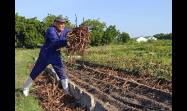 La agricultura urbana, suburbana y familiar tiene grandes desafíos productivos en el presente año