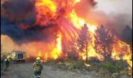 Incendios en la Patagonia argentina