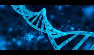 Científicos británicos avanzan en creación de ADN humano artificial desde cero