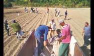 Impulsar la producción de alimentos es prioridad para los guantanameros