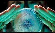Gen hace invencibles a las bacterias y se propaga por todo el mundo