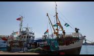 Flotilla Global Sumud