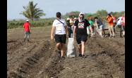 La Brigada Juvenil Internacional de Solidaridad con Cuba Viva Fidel realizó labores productivas en Holguín