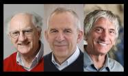 Entregan Premio Nobel de Física 2025 a John Clarke, Michel Devoret y John Martinis