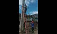 Varias brigadas de linieros de todo el país contribuyen al restablecimiento del servicio eléctrico.