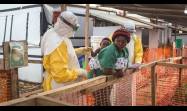 Alto número de muertos por ébola en el Congo