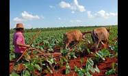 El Proyecto de Ley ofrecerá un marco normativo único y claro para fiscalizar desde la entrega de la tierra, hasta las obligaciones de todos los usufructuarios