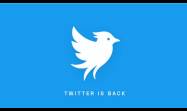 Nuevo Twitter