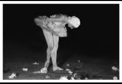 Aquel día, Alicia interpretó esa noche La muerte del cisne, todo un símbolo.