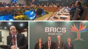 XV Reunión de ministros de Salud del BRICS
