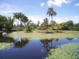 Cuba reafirma compromiso con preservación de sus humedales