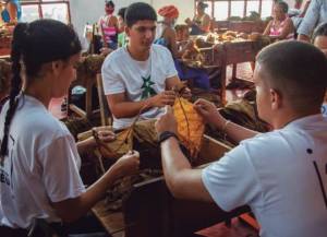 El aporte de los jóvenes al benefi cio del tabaco es decisivo