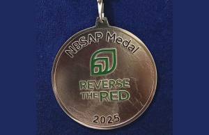 Díaz-Canel felicita a ambientalistas cubanos por Premio Internacional Reverse the Red 2025