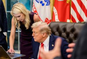 TRUMP & HARP.jpg