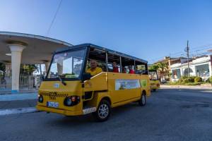 A la flota de los carritos amarrillos, se sumaron 13 nuevos vehículos