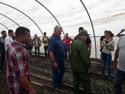 El Presidente cubano reocrrió zonas de interés económico en Pinar del Río