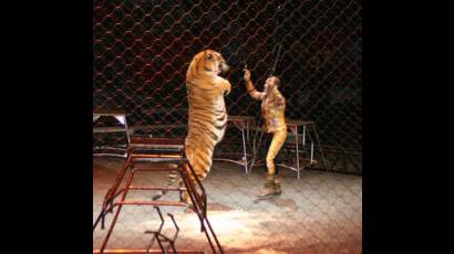 Compañía de circo suiza en La Habana